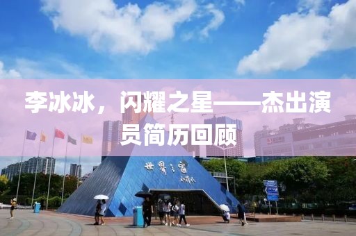 李冰冰，閃耀之星——杰出演員簡(jiǎn)歷回顧