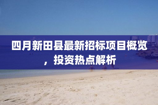 四月新田縣最新招標項目概覽，投資熱點解析