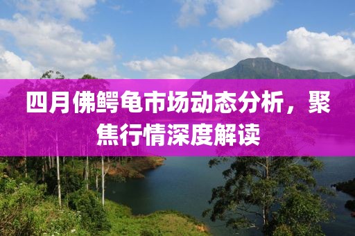 四月佛鱷龜市場(chǎng)動(dòng)態(tài)分析，聚焦行情深度解讀