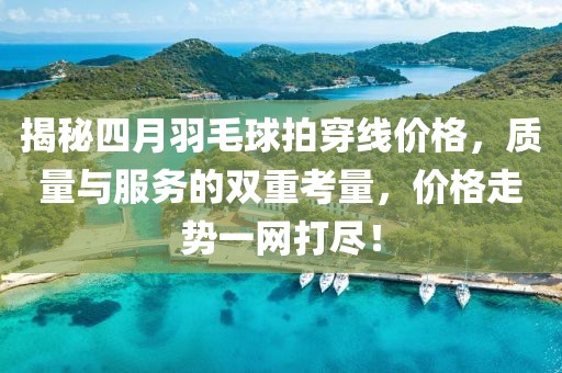 揭秘四月羽毛球拍穿線價格，質(zhì)量與服務(wù)的雙重考量，價格走勢一網(wǎng)打盡！
