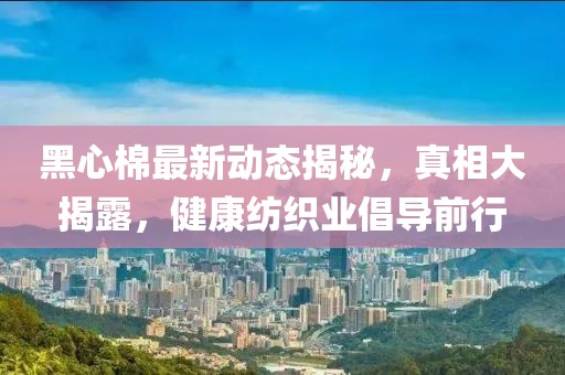 黑心棉最新動(dòng)態(tài)揭秘，真相大揭露，健康紡織業(yè)倡導(dǎo)前行