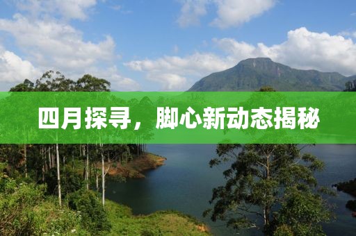 四月探尋，腳心新動(dòng)態(tài)揭秘