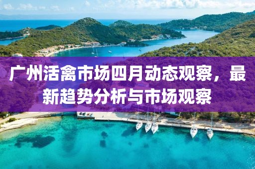廣州活禽市場(chǎng)四月動(dòng)態(tài)觀察，最新趨勢(shì)分析與市場(chǎng)觀察