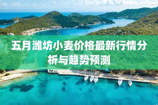 五月濰坊小麥價(jià)格最新行情分析與趨勢預(yù)測