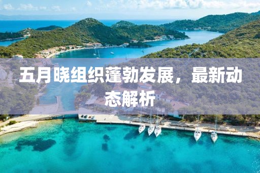 五月曉組織蓬勃發(fā)展，最新動(dòng)態(tài)解析