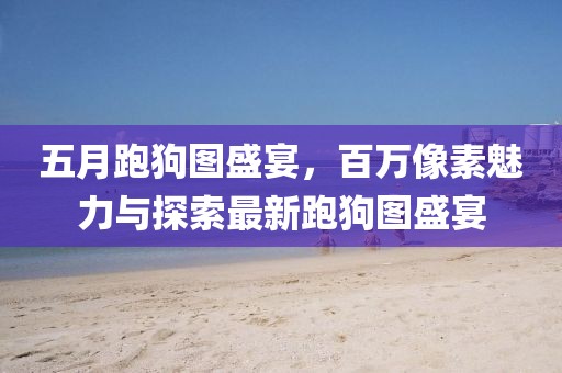 五月跑狗圖盛宴，百萬像素魅力與探索最新跑狗圖盛宴