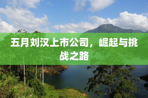 五月劉漢上市公司，崛起與挑戰(zhàn)之路