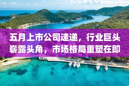 五月上市公司速遞，行業(yè)巨頭嶄露頭角，市場格局重塑在即
