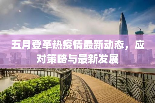 五月登革熱疫情最新動(dòng)態(tài)，應(yīng)對(duì)策略與最新發(fā)展
