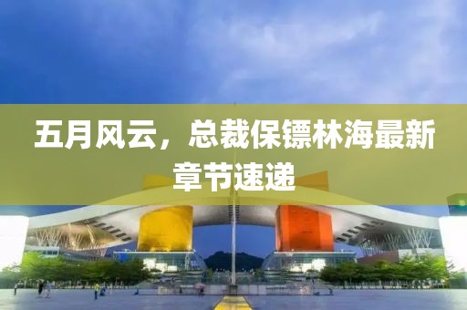 五月風(fēng)云，總裁保鏢林海最新章節(jié)速遞