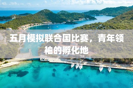 五月模擬聯(lián)合國(guó)比賽，青年領(lǐng)袖的孵化地