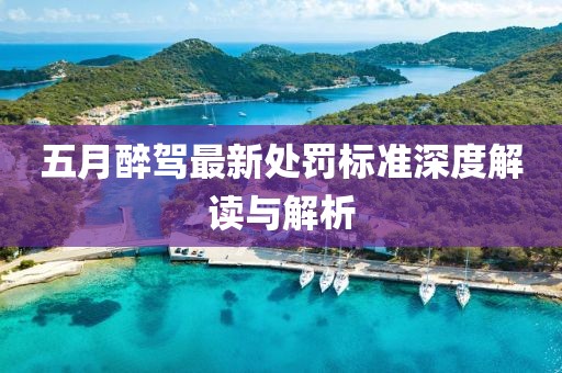 五月醉駕最新處罰標(biāo)準(zhǔn)深度解讀與解析