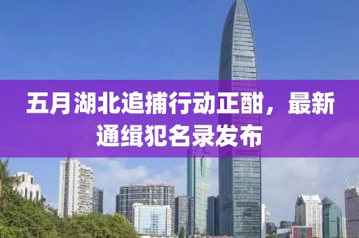 五月湖北追捕行動正酣，最新通緝犯名錄發(fā)布