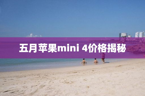 五月蘋果mini 4價格揭秘