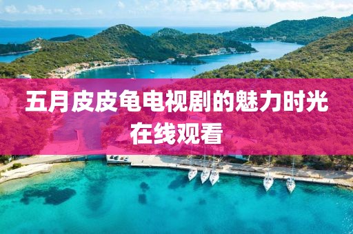 五月皮皮龜電視劇的魅力時光在線觀看