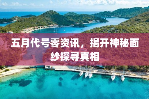 五月代號零資訊，揭開神秘面紗探尋真相