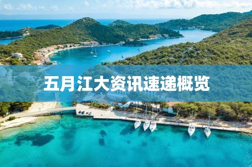 五月江大資訊速遞概覽