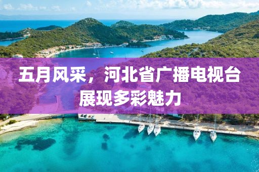 五月風(fēng)采，河北省廣播電視臺展現(xiàn)多彩魅力