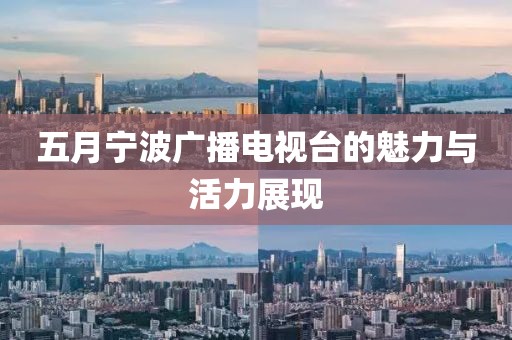 五月寧波廣播電視臺的魅力與活力展現(xiàn)