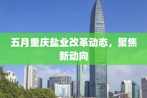 五月重慶鹽業(yè)改革動態(tài)，聚焦新動向