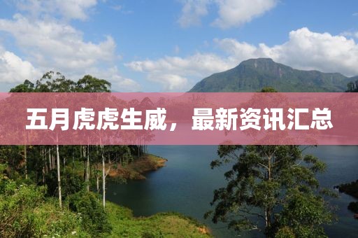 五月虎虎生威，最新資訊匯總