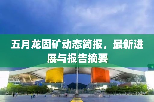 五月龍固礦動態(tài)簡報，最新進(jìn)展與報告摘要
