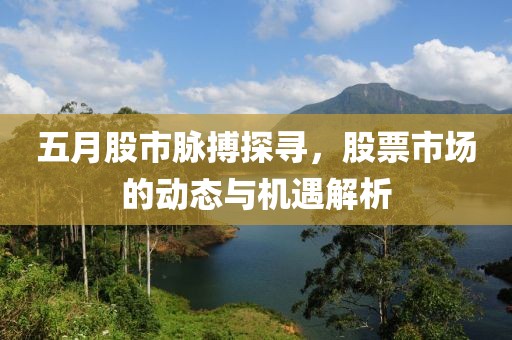 五月股市脈搏探尋，股票市場(chǎng)的動(dòng)態(tài)與機(jī)遇解析