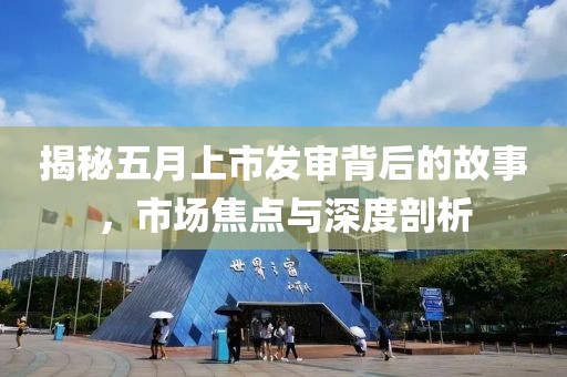 揭秘五月上市發(fā)審背后的故事，市場(chǎng)焦點(diǎn)與深度剖析