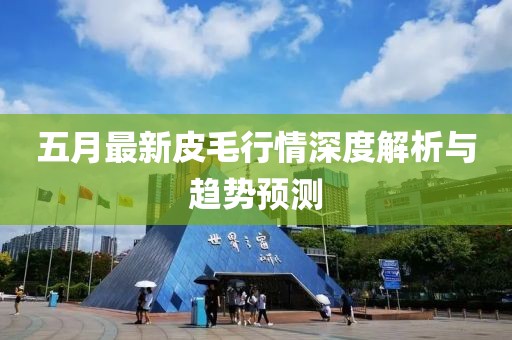 五月最新皮毛行情深度解析與趨勢(shì)預(yù)測(cè)