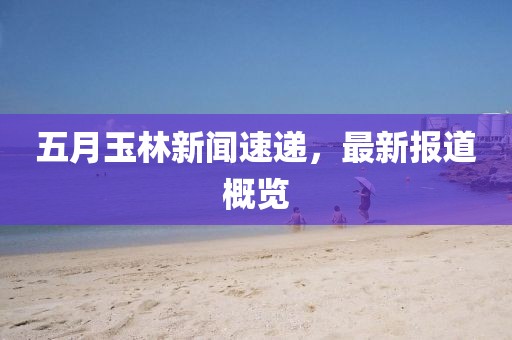 五月玉林新聞速遞，最新報道概覽