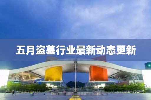 五月盜墓行業(yè)最新動(dòng)態(tài)更新