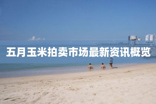 五月玉米拍賣(mài)市場(chǎng)最新資訊概覽