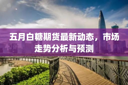 五月白糖期貨最新動態(tài)，市場走勢分析與預測
