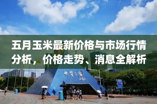五月玉米最新價(jià)格與市場(chǎng)行情分析，價(jià)格走勢(shì)、消息全解析