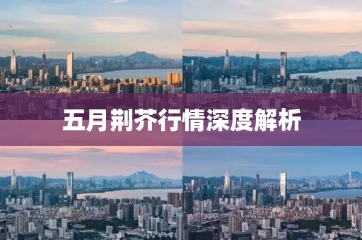 五月荊芥行情深度解析