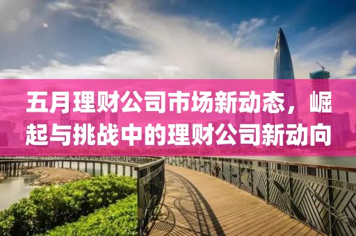 五月理財(cái)公司市場(chǎng)新動(dòng)態(tài)，崛起與挑戰(zhàn)中的理財(cái)公司新動(dòng)向
