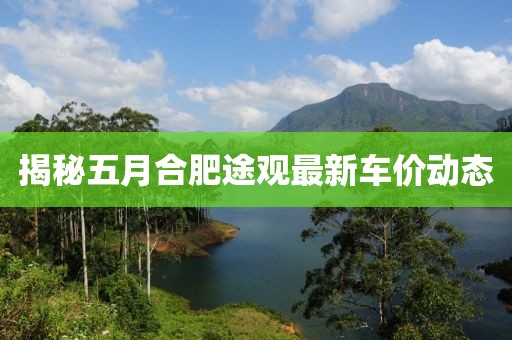 揭秘五月合肥途觀最新車價(jià)動(dòng)態(tài)