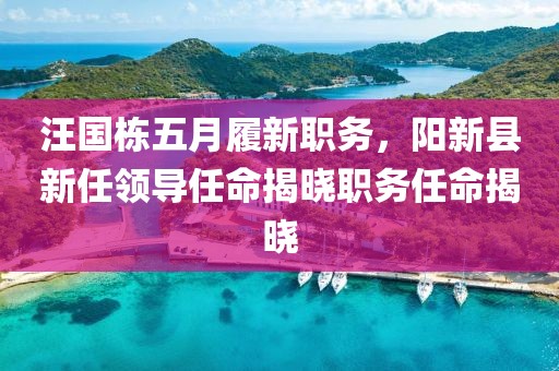 汪國棟五月履新職務(wù)，陽新縣新任領(lǐng)導(dǎo)任命揭曉職務(wù)任命揭曉