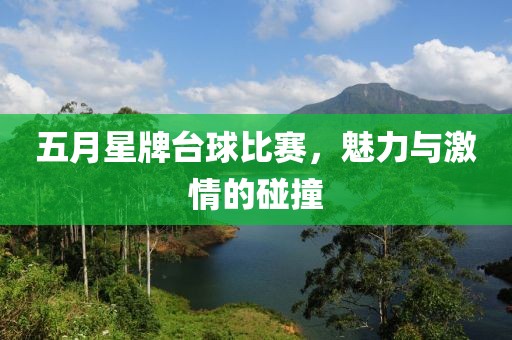 五月星牌臺球比賽，魅力與激情的碰撞