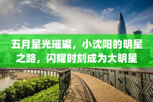 五月星光璀璨，小沈陽的明星之路，閃耀時刻成為大明星