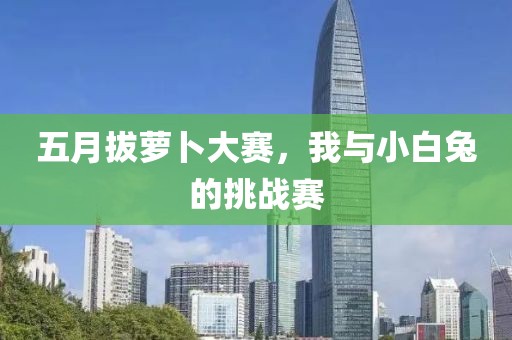 五月拔蘿卜大賽，我與小白兔的挑戰(zhàn)賽