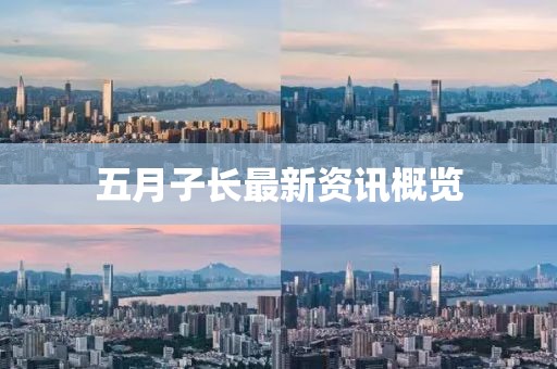 五月子長最新資訊概覽