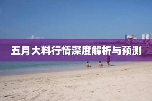 五月大料行情深度解析與預(yù)測