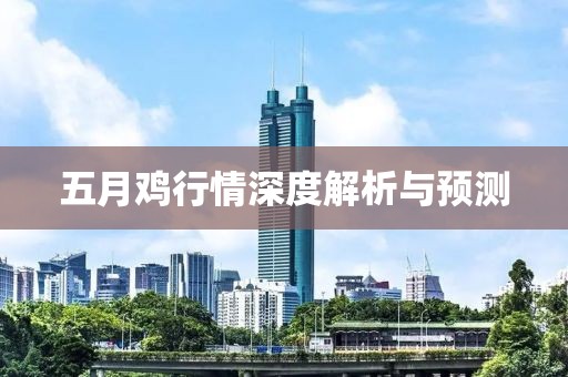 五月雞行情深度解析與預(yù)測(cè)