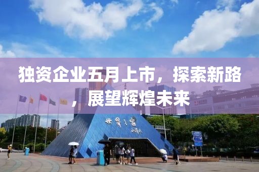 獨(dú)資企業(yè)五月上市，探索新路，展望輝煌未來