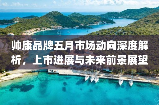 帥康品牌五月市場動向深度解析，上市進展與未來前景展望