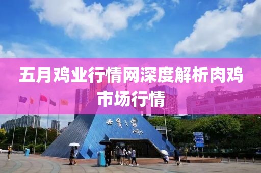 五月雞業(yè)行情網(wǎng)深度解析肉雞市場行情
