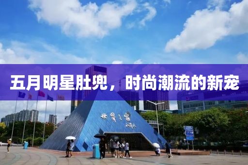 五月明星肚兜，時(shí)尚潮流的新寵
