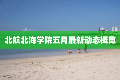 狐小貍