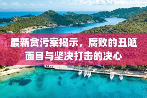 最新貪污案揭示，腐敗的丑陋面目與堅決打擊的決心